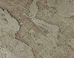 Creamy Beige