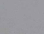 Motley Gray