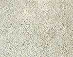 Birchwood