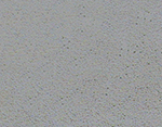 Motley Gray