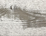 Whitewash