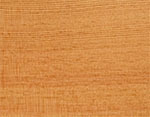 Douglas Fir
