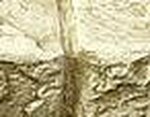 Creamy Beige