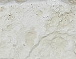 Beach Stone