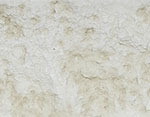 Beach Stone