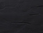Raven Black