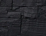 Raven Black