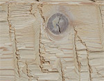 Linen