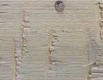 Linen