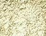 Creamy Beige