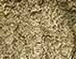 Saddle Beige