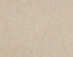 Tan FS-190