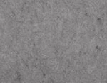 Grey FS-160