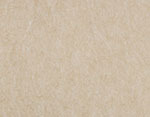 Tan FS-190