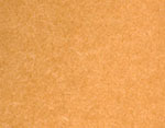Apricot FS-450