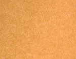 Apricot FS-450