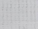 Whitewash