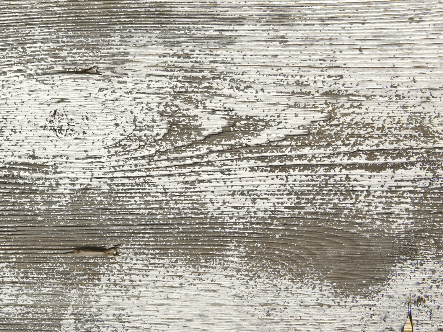 Barn Board Wood Sample Plank