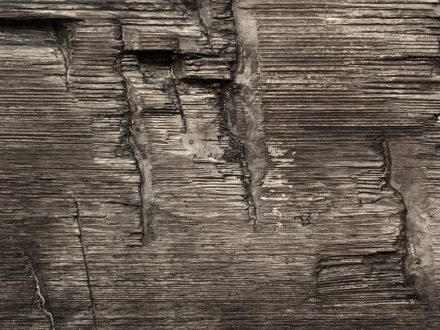 Heavy Hand Hewn  Wood Sample Plank