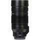 Panasonic Leica DG Vario-Elmar 100-400mm f/4-6.3 ASPH. POWER O.I.S. Lens