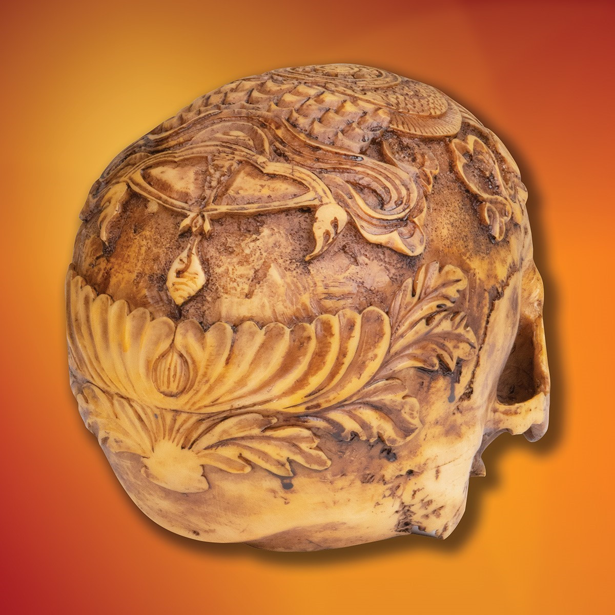 Cold Cast Resin Tibetan Kapala Skull Cap