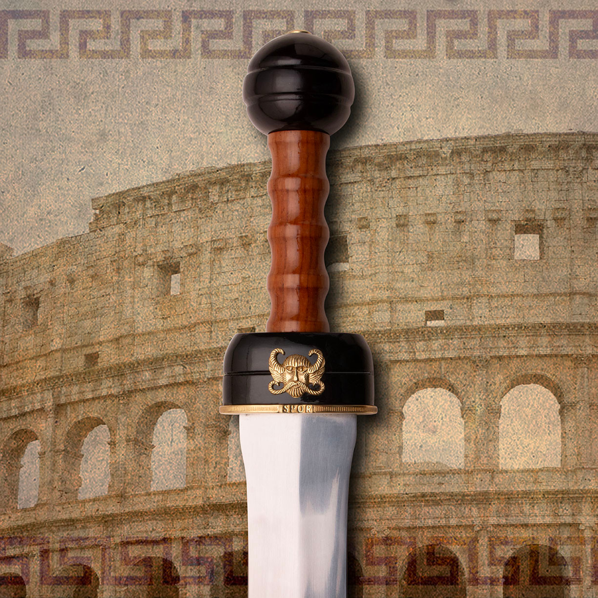 Arena gladius with high carbon steel blade, 2 tone hilt with a glossy finish, brass plate at the base, double edged sharp blade