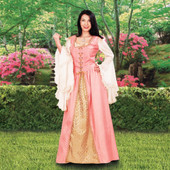Pink Avington Gown Overdress