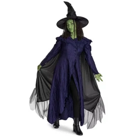Elphaba adult costume from the movie Wicked: For Good™ includes a dress, cape, and hat