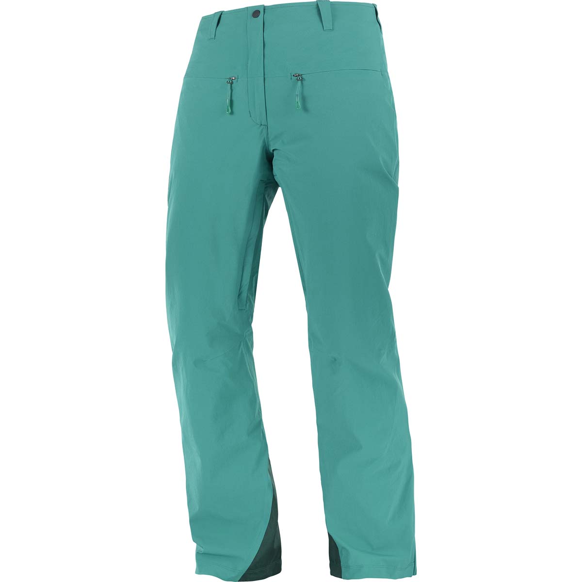 cirkulære Mainstream klassisk Salomon Ski Brilliant Pants Women's 2023 | Level Nine Sports