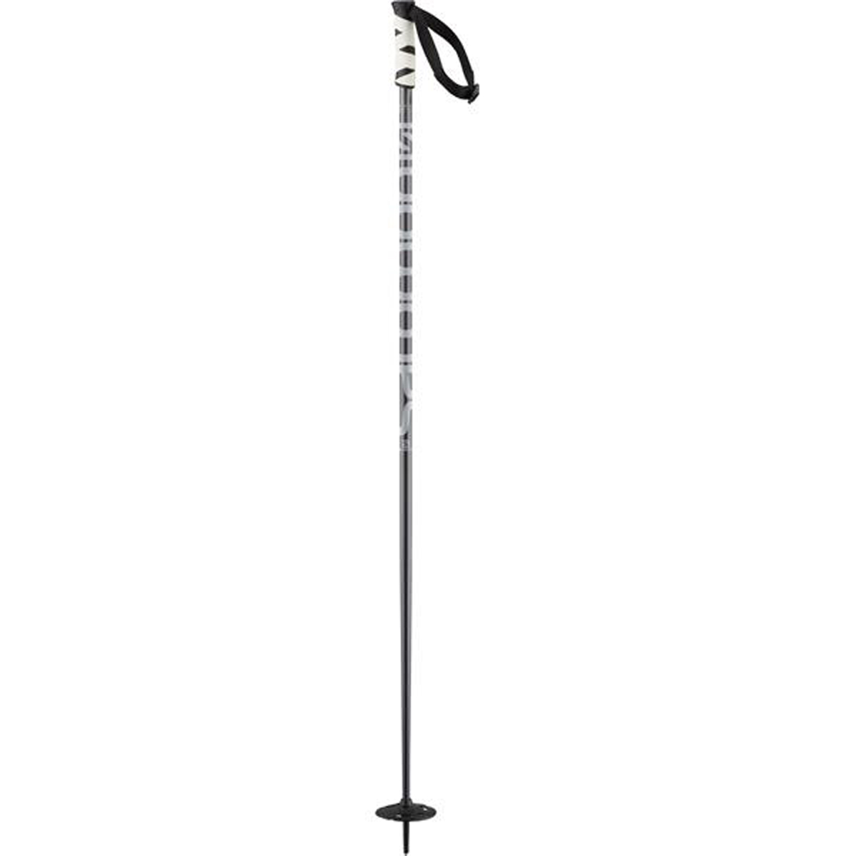 Salomon Hacker Ski Poles 2023 Level Nine Sports