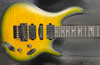 PRS SE Chleo Herman Li Signature 2025 - Mantis Burst