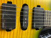 PRS SE Chleo Herman Li Signature 2025 - Mantis Burst