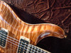 PRS Private Stock 4743 Modern Eagle BRW Neck and Proto 85~15 Pickups SOLD