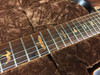 PRS Paul Reed Smith CU24 Semi Hollow Brazilian Private Stock SOLD