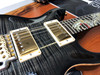 PRS Paul Reed Smith 25th Anniversary Dragon Charcoal  