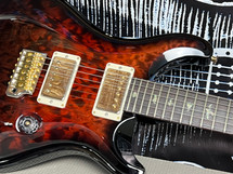 PRS Custom 24 Limited Production Special Wood Library