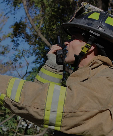 Emergency Back-Up & Disaster Recovery
