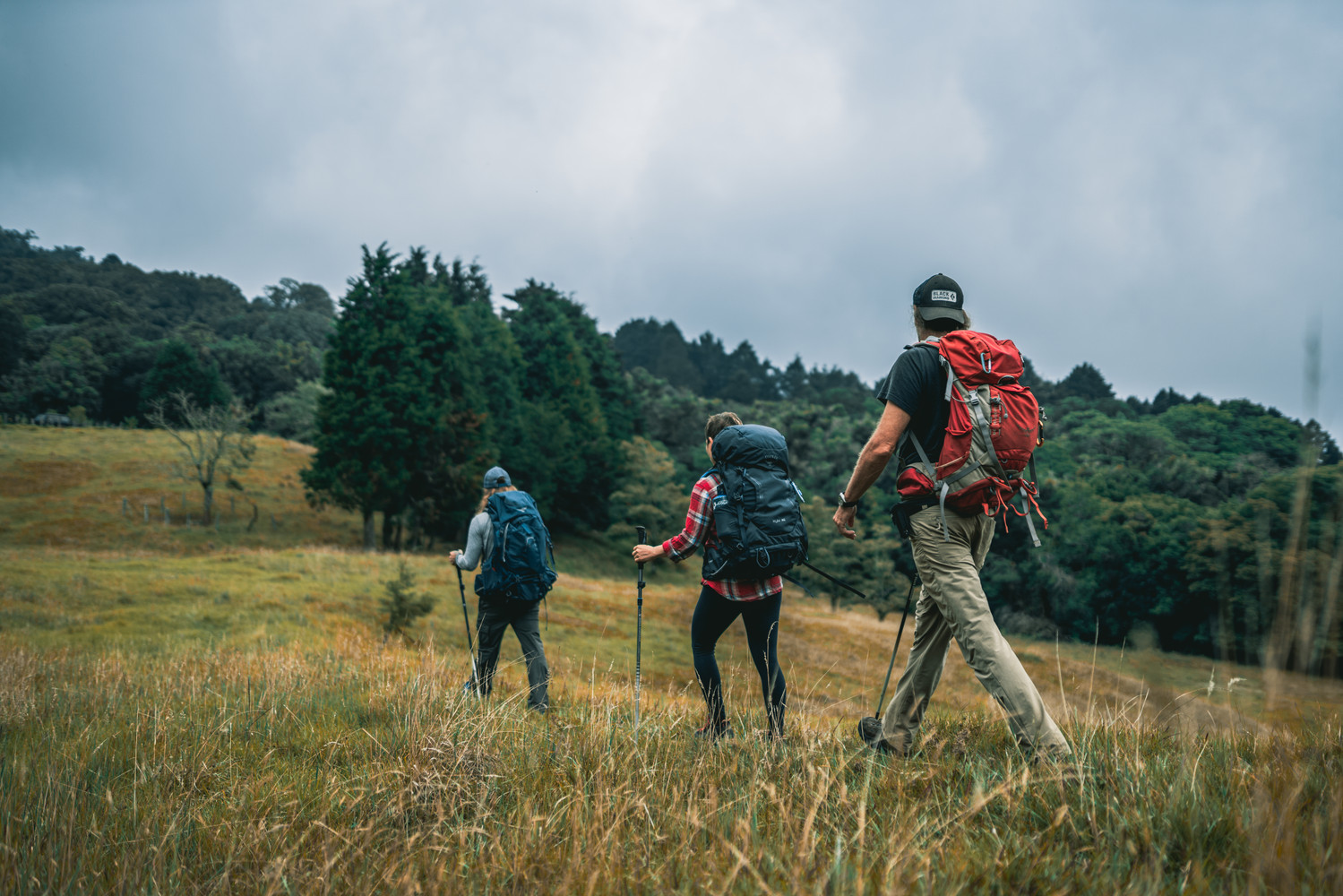 Senderismo - Bastones para Senderismo - Stone Mountain Outdoors