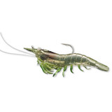 Señuelo Live Target Rigged Shrimp - Grass Shrimp