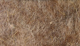 Dubbing Spirit River Dazzle Hare's Ear - Nat Hares Ear