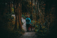 Tips para caminatas con mascotas