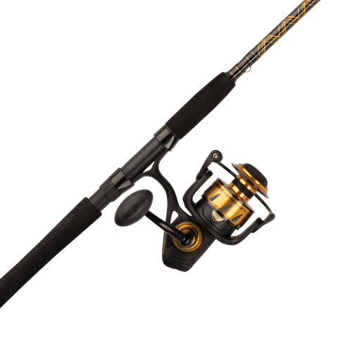 Combo PENN Spinfisher VI de spinning
