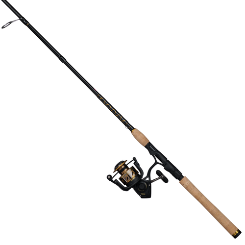 Combo PENN Battle III 5000 de spinning