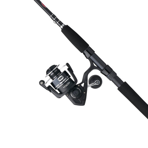 Combo PENN Pursuit V de spinning