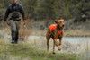 Ruffwear Reflective Track Jacket