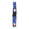 RepYourWater Dog Collar