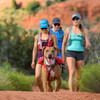 Ruffwear Singletrak Pack V2