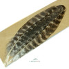 Wapsi Turkey Wing Quill Mottled Oak #1