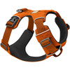 Ruffwear Front Range Harness