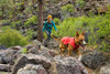 Ruffwear Overcoat Insulated Dog Jacket